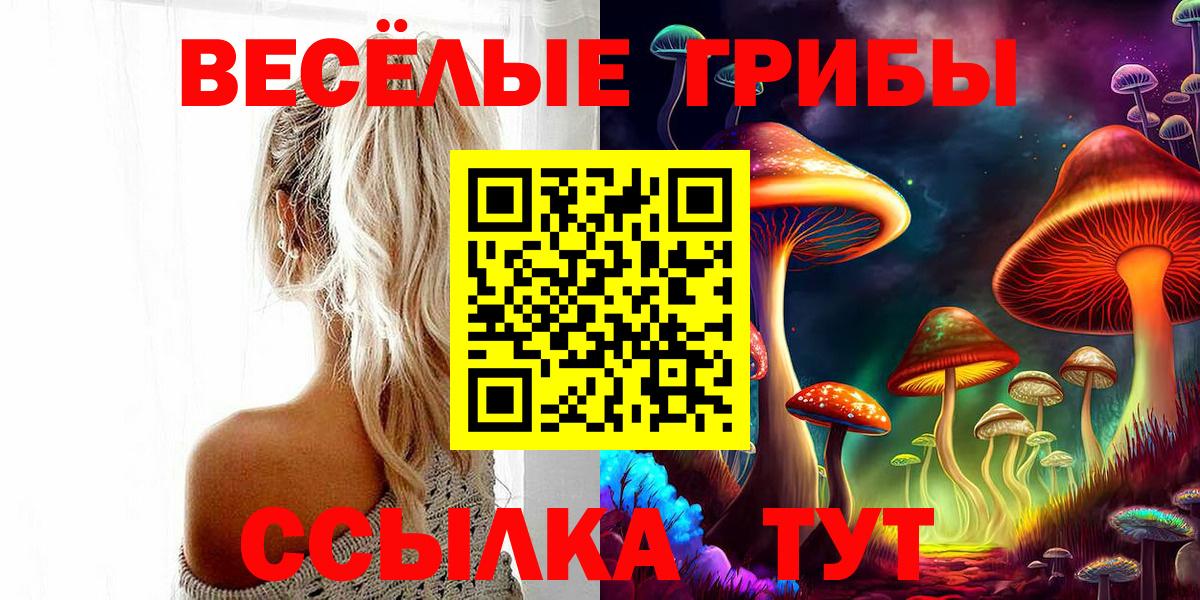 Галлюциногенные грибы MAGIC MUSHROOMS Истра