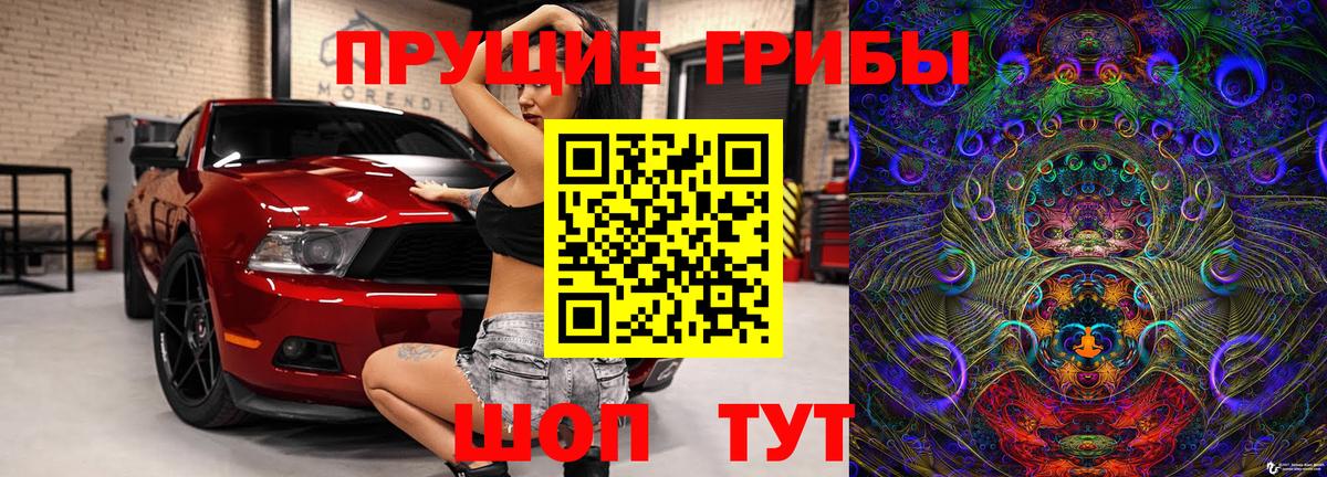Истра  Галлюциногенные грибы мицелий  Вход с VPN  Галлюциногенные грибы Psilocybe 